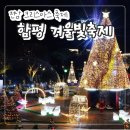 [일원1] 재미있는 인물화 캐리커처 | 전남 12월 크리스마스 축제 추천! "함평 겨울빛축제" 소개(일정/주차/공연/가수 라인업 포함)