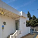 호국로1539번길 | 고양 애견동반 야외 정원 카페 노만주의 내돈내산 방문후기