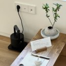 고산녹차민박 이미지