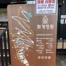 서해중학교 | [교동도 놀거리] 교동도 1회축제라고? 못참긔 - 청보라정원축제와 화개정원