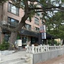 큰솔펜션 이미지