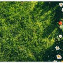 원당한의원 이미지