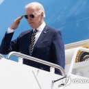 바이독한 이미지