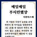이천승아다육 네이버블로그
