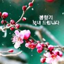 백갈매기 ㅡ이 명주 노래 ㅡ오라버니 버들이 노래 ㅡ 이미지