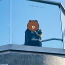 커피엠박스 - 용인시 기흥구 농서로 87 | (뼈다귀)[메이트힐로스터리]속초 카페 추천, 커피가 맛있는 속초의 대형 카페