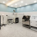 튼튼동물의료센터 이미지