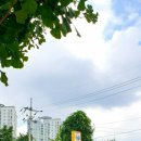 히스기야가정의학과의원 이미지