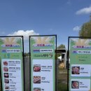 셀프존 | 서울 바비큐페스타 - 셀프 바비큐존 후기/ 꿀팁