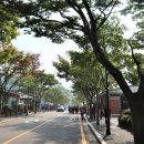 불갑사 관광안내소 이미지