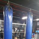 신월복싱체육관 이미지