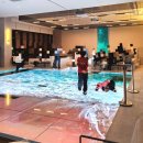 자은도에서 | 신안 씨원리조트 와이너리 투어 후기 자은도에서 즐긴 특별한 체험 프로그램