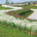 원예기능사 이미지