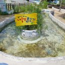 피싱파크진산각