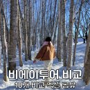 비에이(B/A) | 삿포로 비에이투어 비에이 버스투어 흰그림자 예약 비용