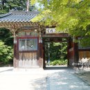 600마지기가는길야영장 이미지