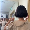 베이보릿스튜디오 네이버블로그