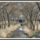 황새울공원 이미지