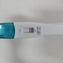 (주) 평안매직 | 임신 기록 #1. 임신 잘 되는 법, 자연임신 성공 후기, 임테기 두 줄, 임신 준비 과정 총정리