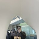 제주먹보
