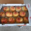 금봉농장 이미지