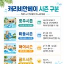 비오는날 캐리비안베이 하이시즌 주말 후기, 가격 주차 대기 꿀팁 정리