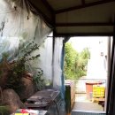 도그엔조이 이미지