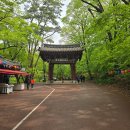 가람자원 | 20250511보은 법주사 괴산화양 구곡 투어 후기