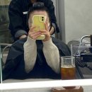 월드반도세탁 | 일산미용실, 킨텍스미용실 ‘올하나헤어’