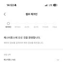 체스터톤스 - 34411 | 체스터톤스
