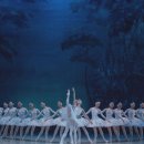 모스크바 국립발레단 내한공연-백조의 호수 이미지