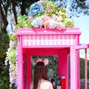 고미노시스템 이미지