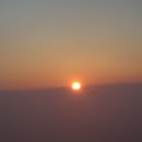 일박이일 A Daum카페
