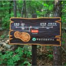 규봉암가는길 이미지