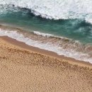 미래유전자 이미지