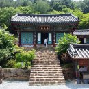 곡성-238 Daum카페