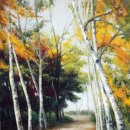 자작나무 이미지