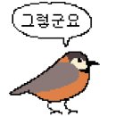 레몬슈가왁싱뷰티 - 서구 둔산남로9번길 89 | 레몬슈가왁싱뷰티