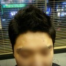 새로나 파크 이미지