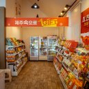 제주삼성렌트카 - 제주시 오광로 93 | 제주삼성렌트카