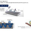 스페라(SPERA) 이미지