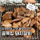 문화서로 | 구월동고기집 골목집 돼지갈비 노포감성 맛집 후기