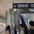 카매니져 | 오키나와 토요타렌트카 비용 4월 예약 NOC 추가 대여 여행 후기!