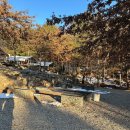 삼남매와 뭉치네 캠핑장 | [강원도/캠핑장] 털뭉치들과 함께한 '삼남매와 뭉치네' 캠핑장 방문후기