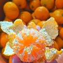 태현농장 이미지