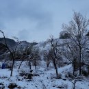 호랭이농장 이미지