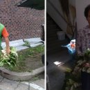 초록마을2단지경로당 이미지