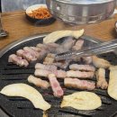 도도한돼지 네이버블로그