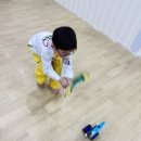 경희유아태권도 이미지