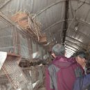 이창희농장 이미지